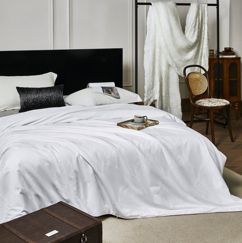 100% Pure Mulberry Silk Comforter for Sumer - Double Extra Long-Strand Mulberry Silk Filling with Cotton Cover Detachable & Machine Washable Luxury Silk Duvet Insert